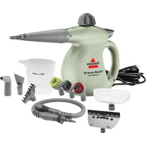Portable steam cleaner